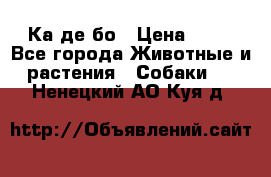 Ка де бо › Цена ­ 25 - Все города Животные и растения » Собаки   . Ненецкий АО,Куя д.